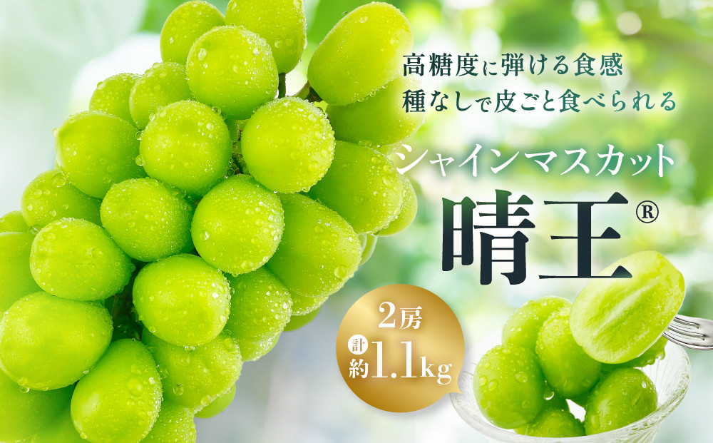 ぶどう&nbsp;2026年&nbsp;&nbsp;シャイン&nbsp;マスカット&nbsp;晴王&nbsp;2房&nbsp;計約1.1kg&nbsp;|&nbsp;晴れの国&nbsp;おかやま&nbsp;岡山県産&nbsp;フルーツ王国&nbsp;果物王国