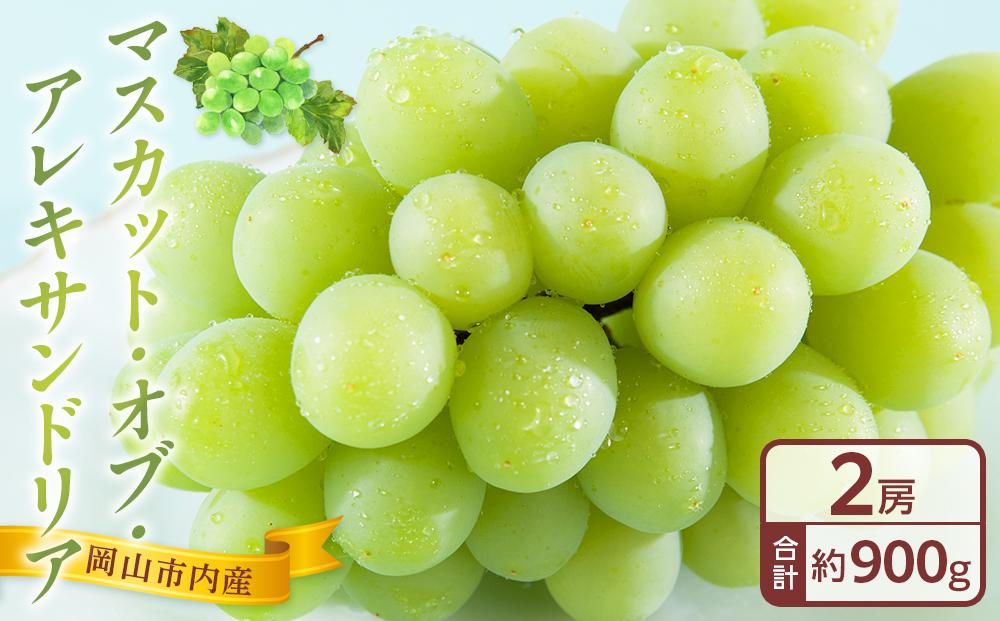ぶどう&nbsp;2025年&nbsp;&nbsp;マスカット・オブ・アレキサンドリア&nbsp;2房&nbsp;合計約900g&nbsp;マスカット&nbsp;ブドウ&nbsp;葡萄&nbsp;岡山市津高地区産&nbsp;国産&nbsp;フルーツ&nbsp;果物&nbsp;ギフト