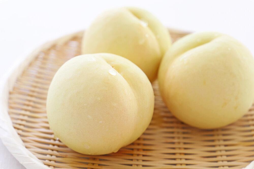 岡山県産 ご家庭用 白桃 1kg以上（4～6玉） 品種おまかせ＜2024年6月下旬以降発送＞