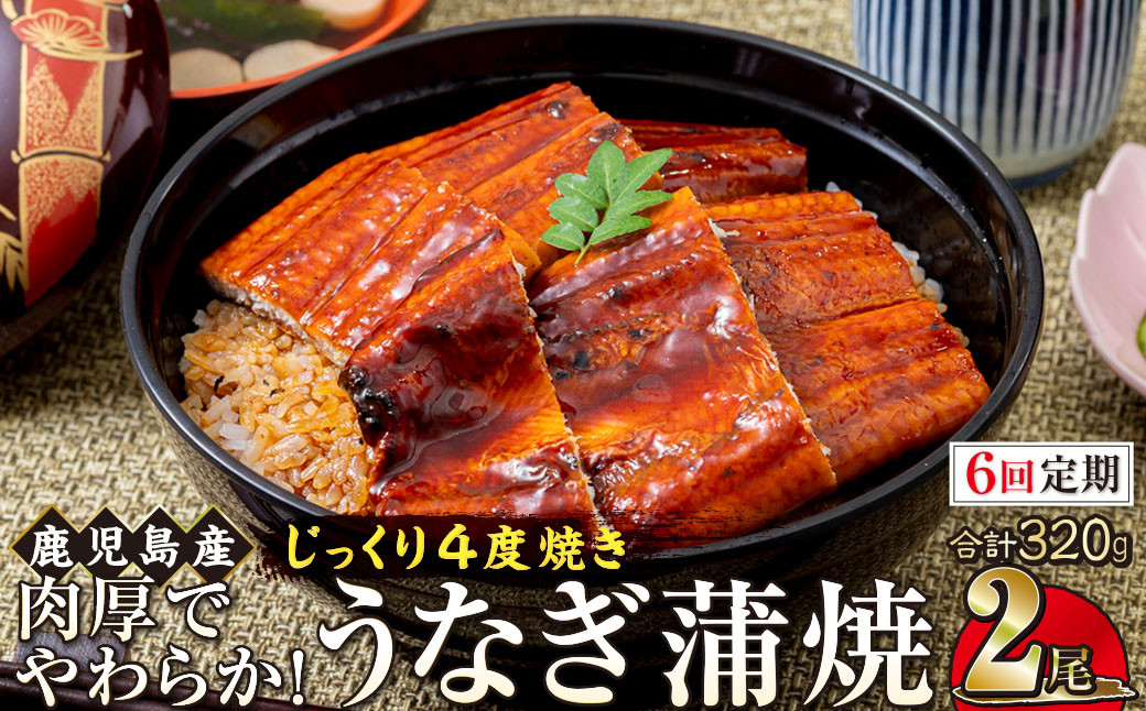 【6回定期】うなぎ&nbsp;蒲焼&nbsp;160g×2尾【鹿児島産】地下水で育てた絶品鰻