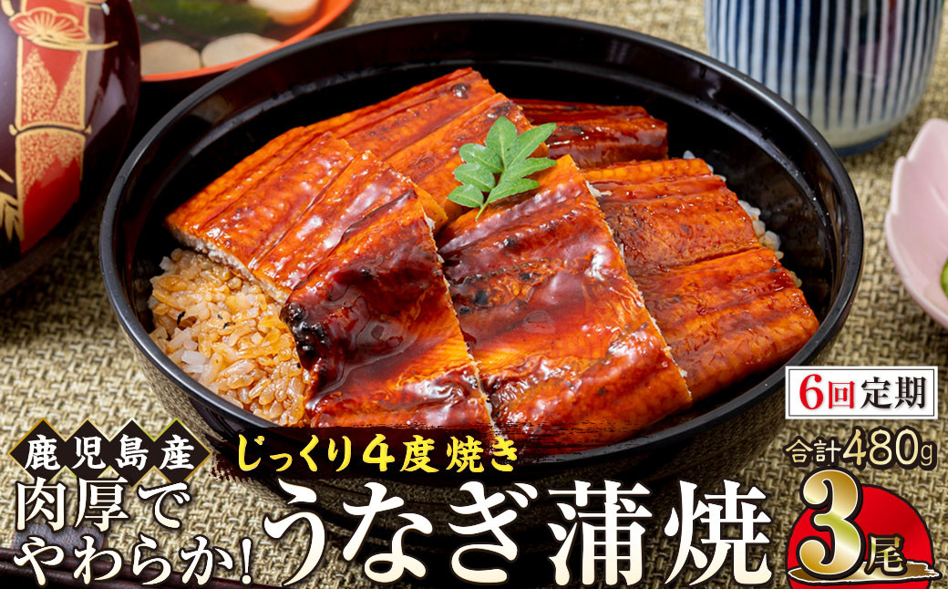 【6回定期】うなぎ&nbsp;蒲焼&nbsp;160g×3尾【鹿児島産】地下水で育てた絶品鰻