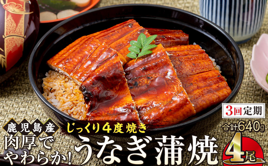 【3回定期】うなぎ&nbsp;蒲焼&nbsp;160g×4尾【鹿児島産】地下水で育てた絶品鰻