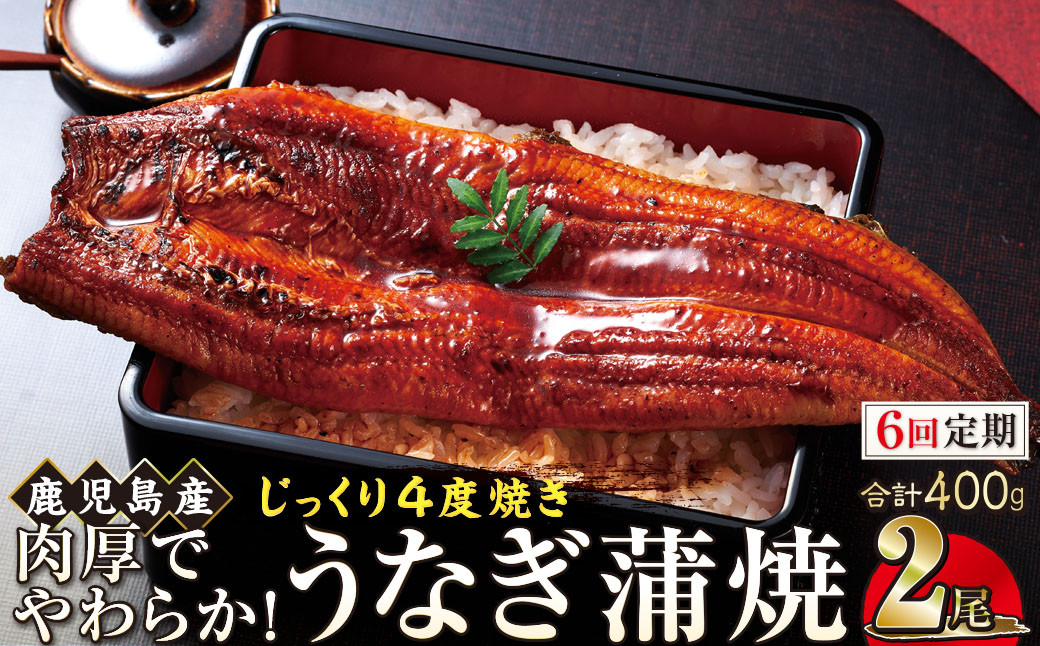 【6回定期】うなぎ&nbsp;蒲焼&nbsp;200g×2尾【鹿児島産】地下水で育てた絶品鰻
