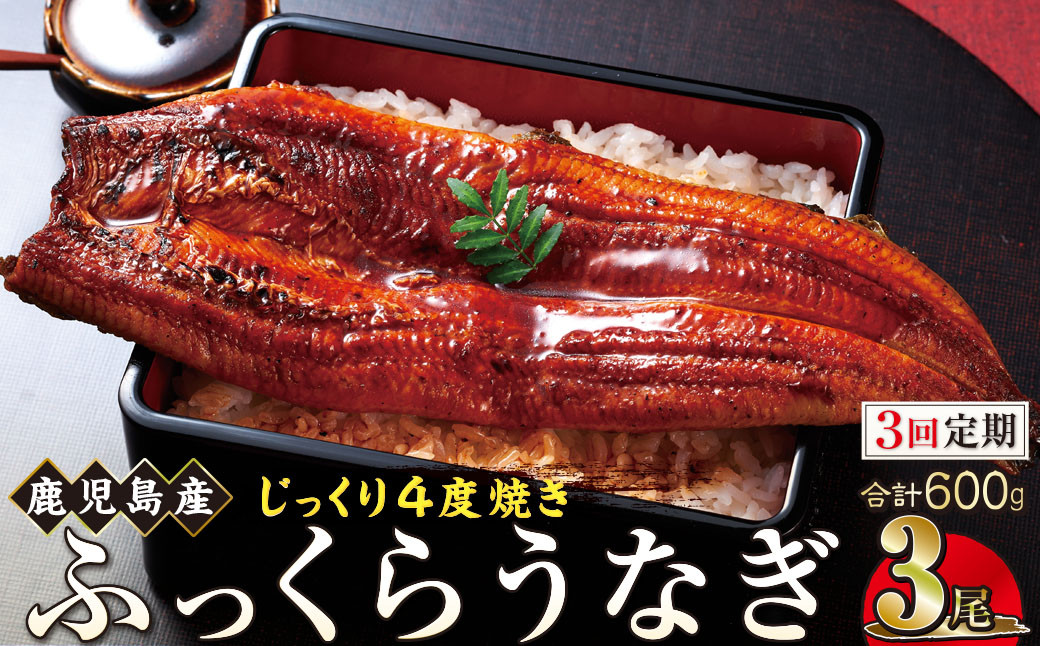 【3回定期】うなぎ&nbsp;蒲焼&nbsp;200g×3尾【鹿児島産】地下水で育てた絶品鰻