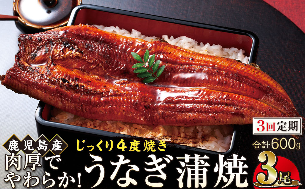 【3回定期】うなぎ&nbsp;蒲焼&nbsp;200g×3尾【鹿児島産】地下水で育てた絶品鰻
