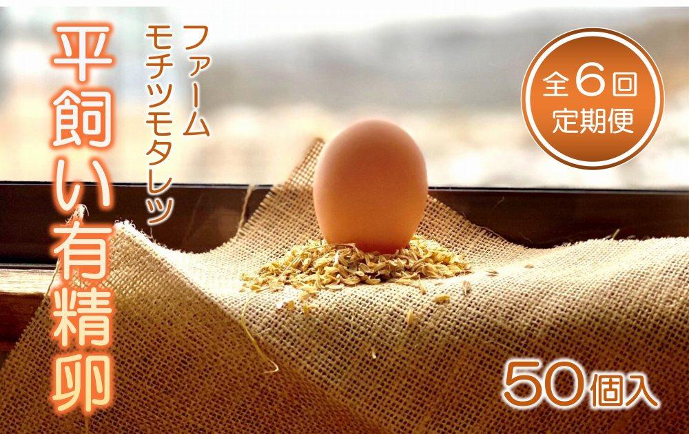 【6回定期便】ファームモチツモタレツの平飼い有精卵（50個入）