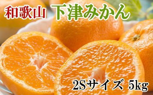 【産直・秀品】和歌山下津みかん約5kg（2Sサイズ）★2024年11月中旬頃より順次発送【TM72】