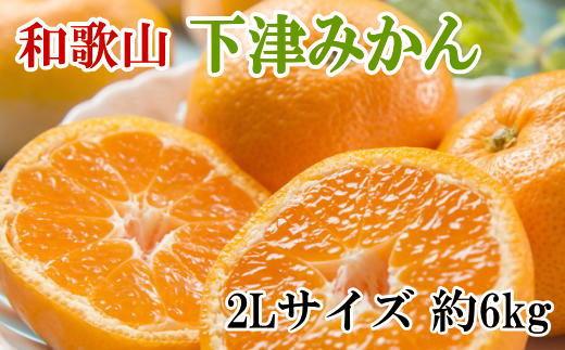 【産直・秀品】和歌山下津みかん約6kg（2Lサイズ）★2024年11月中旬頃より順次発送【TM75】