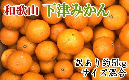 【訳あり】和歌山下津みかん約5kgご家庭用向け(サイズ混合) ★2024年11月中旬頃より順次発送【TM77】