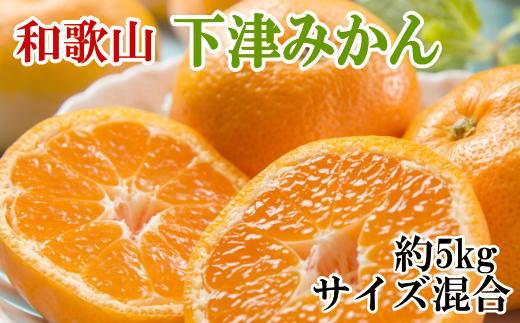 【秀優混合品】和歌山下津みかん約5kg（サイズ混合）★2024年11月中旬頃より順次発送【TM71】