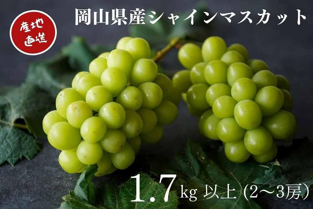 先行予約 2025年 厳選 シャインマスカット 2～3房 合計1.7kg以上 産地直送 朝採れ ぶどう 葡萄 Kawahara Green Farm 岡山県産