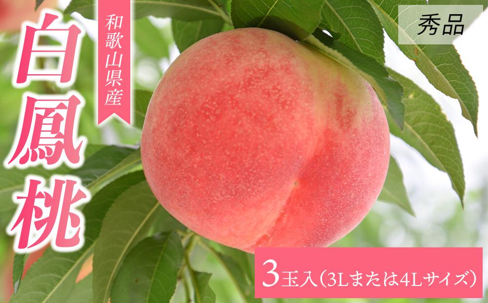 【大玉限定】和歌山県産 白鳳 《秀品》 3玉入り（3Lまたは4Lサイズ）【7月上旬より発送】【MG27】