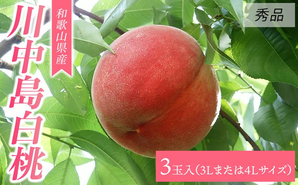 【大玉限定】和歌山県産 川中島白桃 《秀品》 3玉入り（3Lまたは4Lサイズ）【7月下旬より発送】【MG28】