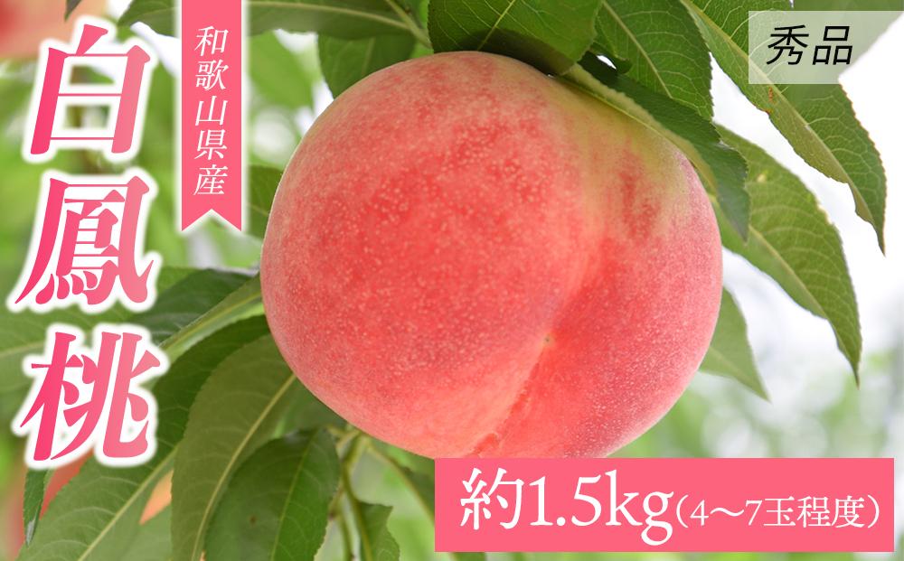 和歌山県産 白鳳 《秀品》 約1.5kg(4～7玉程度）【7月上旬より発送】 【MG30】