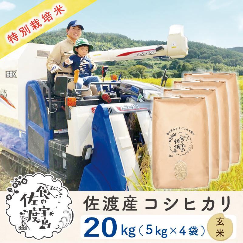 ”ベストファーマー認証受賞歴”  佐渡島産コシヒカリ 玄米20kg(5kg×4袋)【令和5年産】特別栽培米