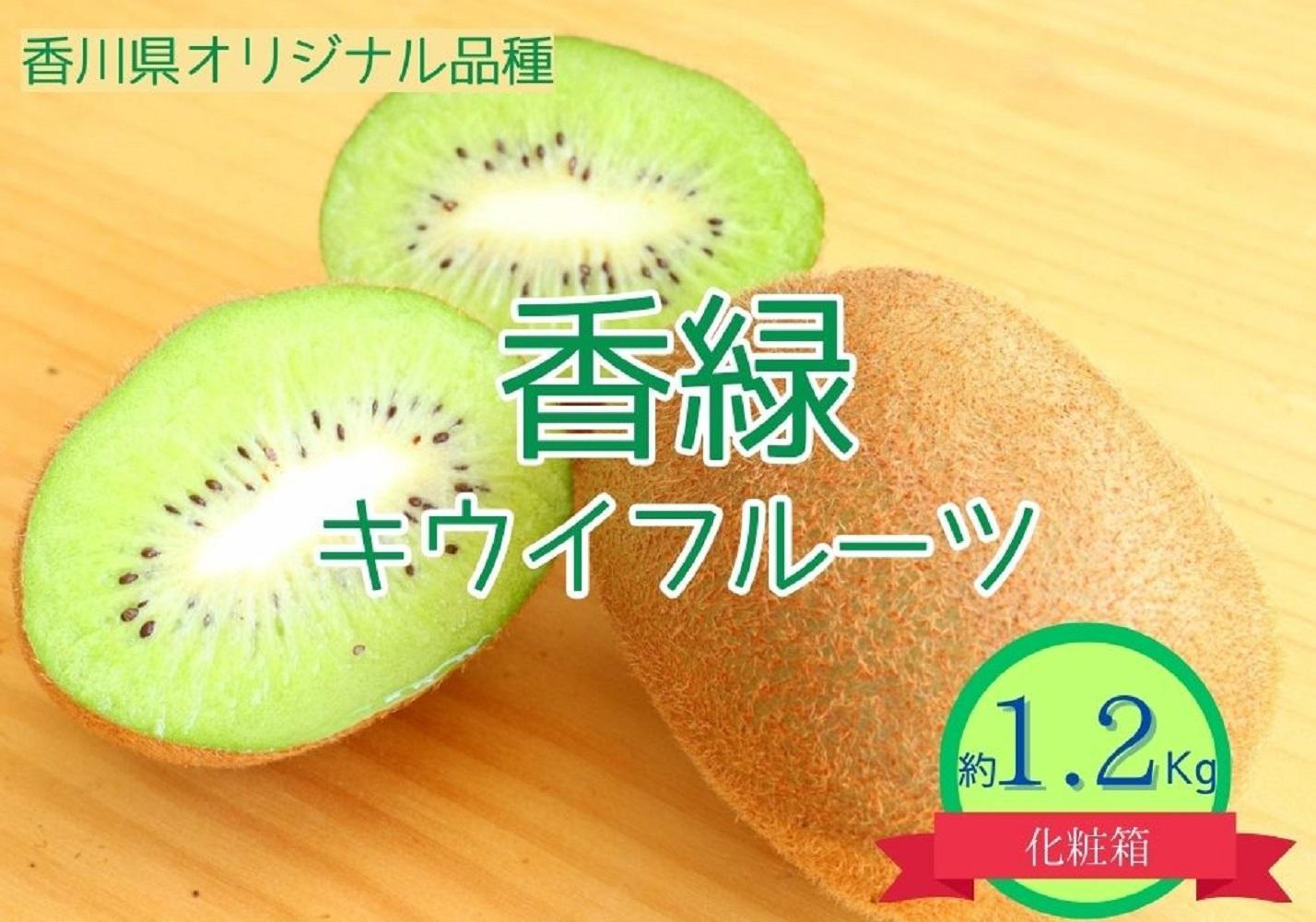 ＜先行受付　2025年発送＞香緑　キウイフルーツ　約1.2kg（化粧箱）