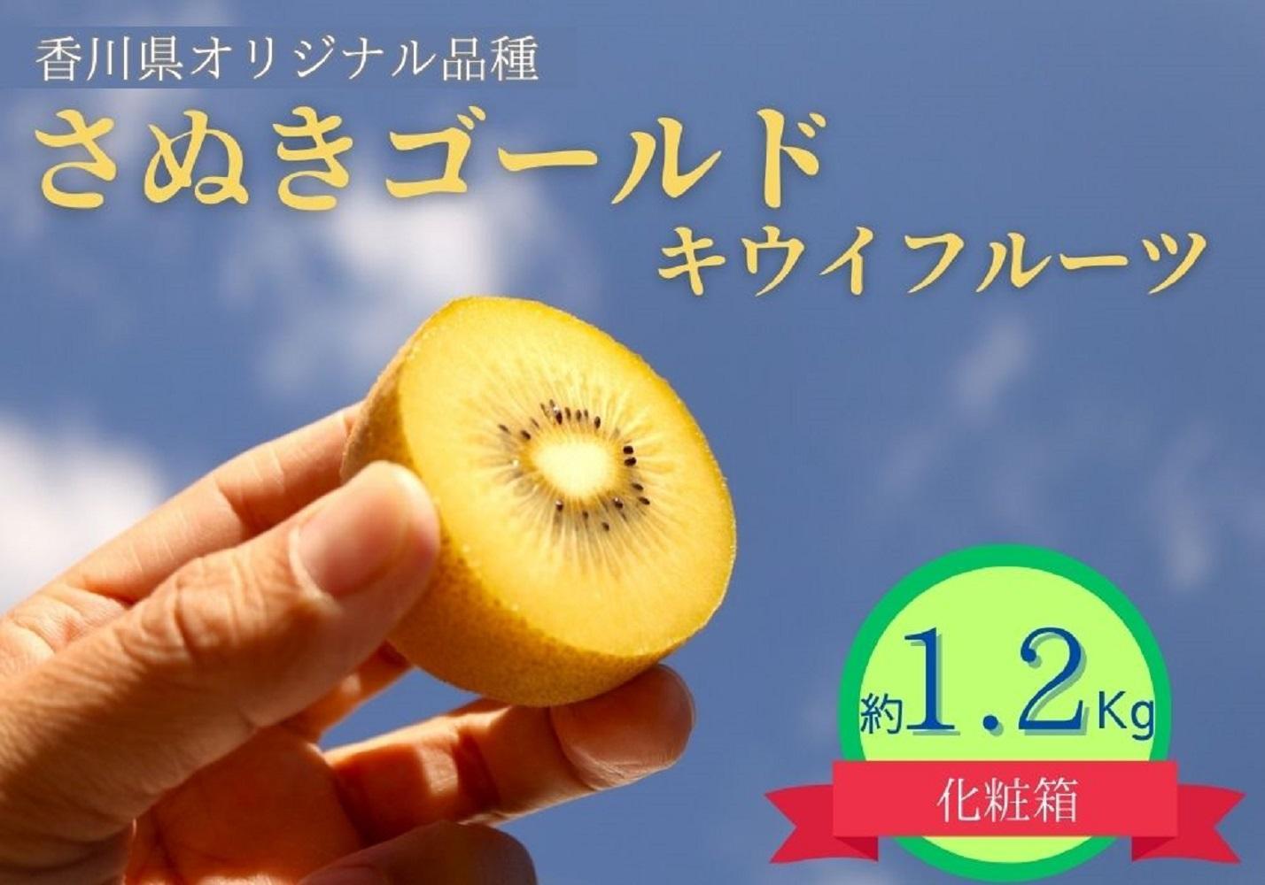 ＜先行受付　2025年発送＞さぬきゴールド　キウイフルーツ　約1.2kg（化粧箱）