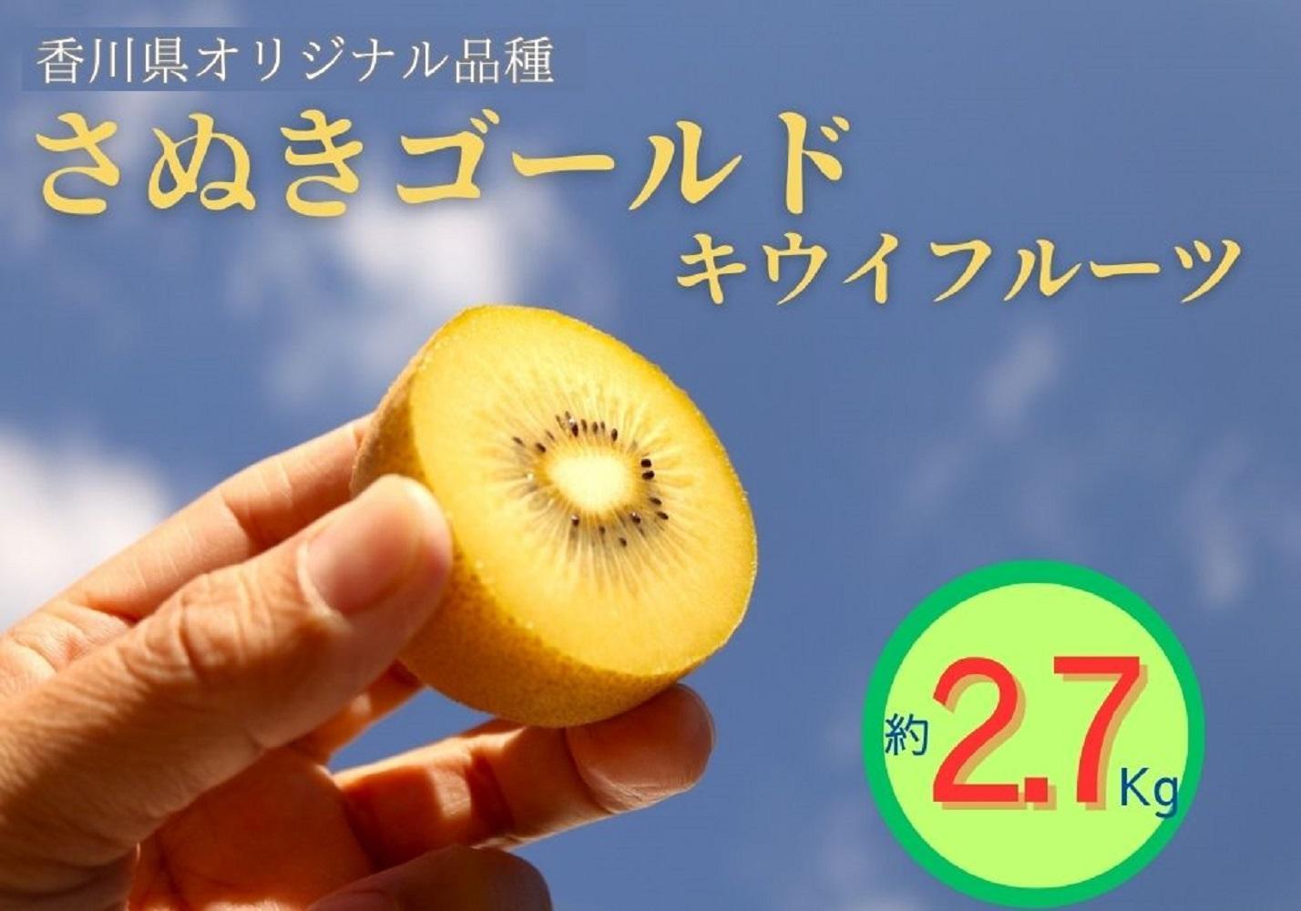 ＜先行受付　2025年発送＞さぬきゴールド　キウイフルーツ　約2.7kg