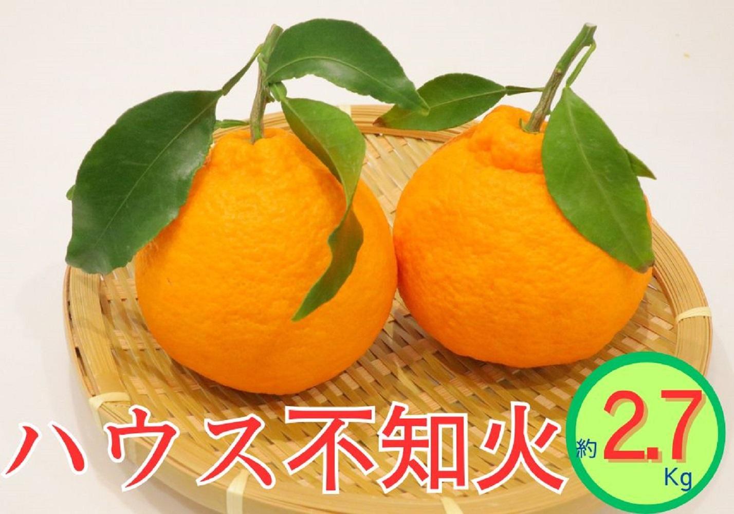 ハウス不知火　約2.7kg