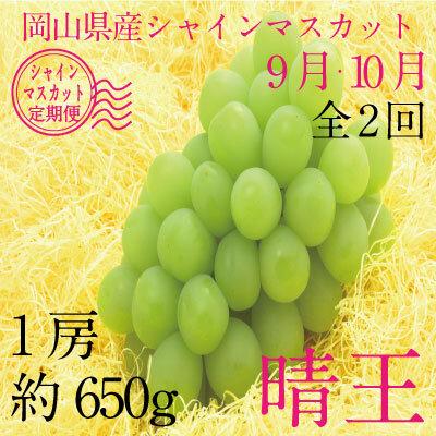 【定期便 全2回】ぶどう 2024年 先行予約 9月・10月発送 シャイン マスカット 晴王 1房 約650g ブドウ 葡萄  岡山県産 国産 フルーツ 果物 ギフト 