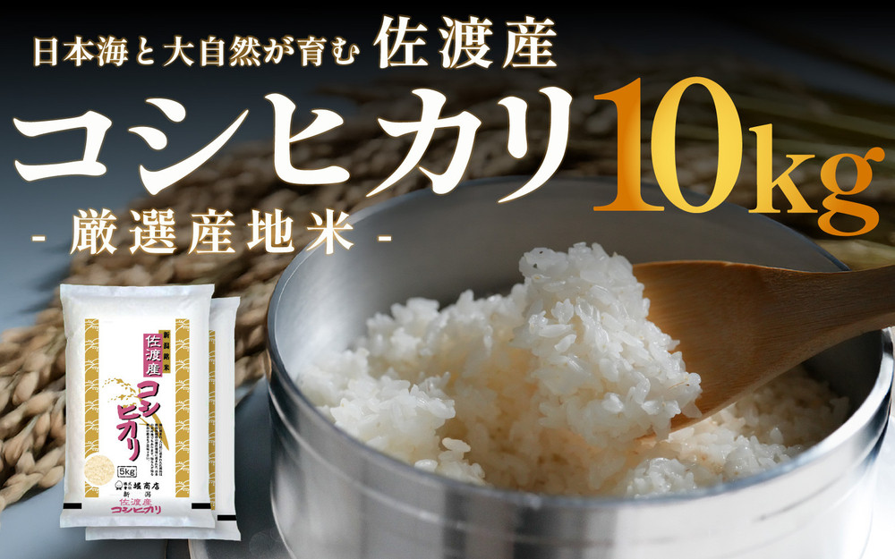 佐渡産コシヒカリ&nbsp;10kg&nbsp;(5kg&nbsp;x&nbsp;2)&nbsp;令和7年産