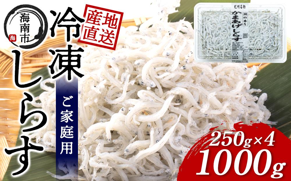 産地直送 ご家庭用 冷凍 しらす 1000g （250g × 4 ）（ 冷凍 ）