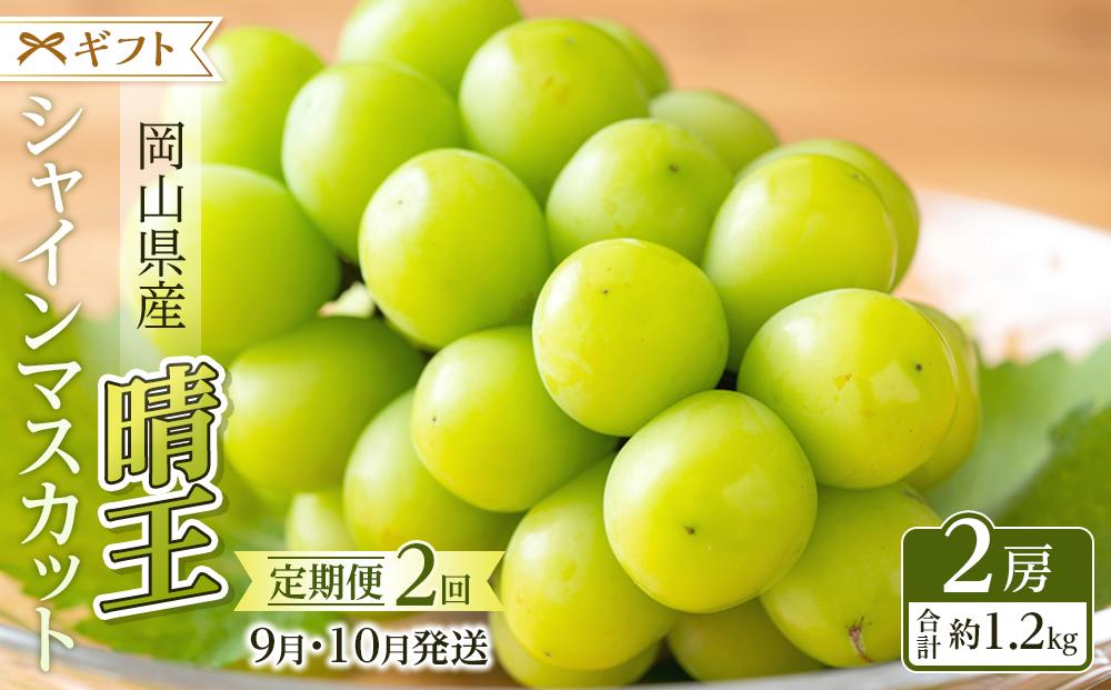 ぶどう&nbsp;2025年&nbsp;&nbsp;9月・10月発送&nbsp;シャイン&nbsp;マスカット&nbsp;晴王&nbsp;2房（合計約1.2kg）&nbsp;ブドウ&nbsp;葡萄&nbsp;&nbsp;岡山県産&nbsp;国産&nbsp;フルーツ&nbsp;果物&nbsp;ギフト