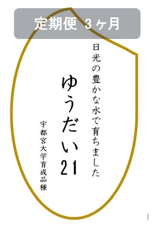 【定期便３ヶ月】令和6年産　ゆうだい21　白米10kg（5kg×2袋）