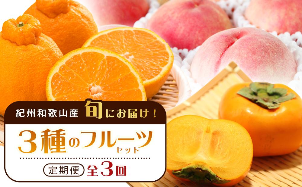 紀州和歌山産 旬にお届け！3種のフルーツセット（不知火・桃・ひらたね）【UT58】