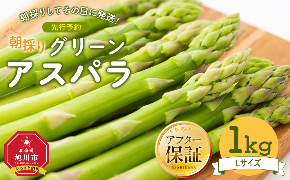 【先行予約】朝採り&nbsp;グリーンアスパラ&nbsp;L&nbsp;1kg&nbsp;(2026年5月下旬発送開始)&nbsp;【&nbsp;アスパラ&nbsp;アスパラガス&nbsp;グリーンアスパラ&nbsp;【先行予約】朝採り&nbsp;直送&nbsp;産地直送&nbsp;旬&nbsp;春&nbsp;北海道&nbsp;とれたて&nbsp;お取り寄せ&nbsp;冷蔵配送&nbsp;冷蔵&nbsp;旭川市&nbsp;】_03901