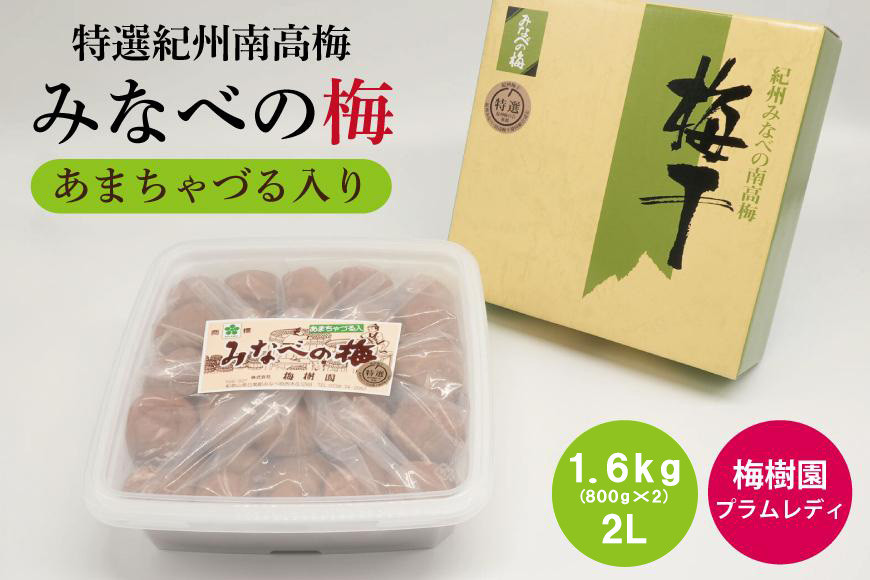 【特選】みなべの梅(あまちゃづる)&nbsp;1.6kg&nbsp;2L（800g×2個）&nbsp;baijuen012B