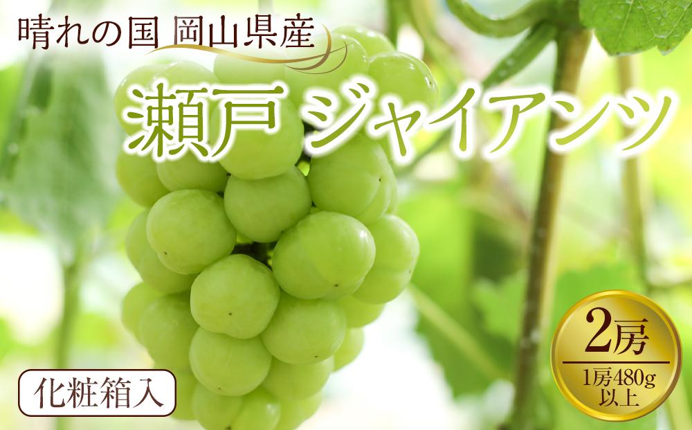 ぶどう 2025年先行予約 岡山県産 瀬戸ジャイアンツ2房(1房480g以上) 化粧箱入り