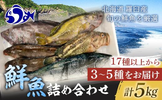 知床羅臼産 鮮魚詰め合わせA　約5kg 魚 さかな 旬の魚 鮮魚 羅臼町 北海道 生産者 支援 応援