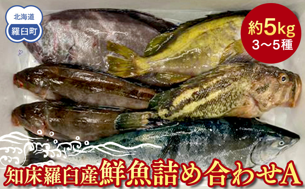知床羅臼産&nbsp;鮮魚詰め合わせA　約5kg&nbsp;魚&nbsp;さかな&nbsp;旬の魚&nbsp;鮮魚&nbsp;羅臼町&nbsp;北海道&nbsp;生産者&nbsp;支援&nbsp;応援
