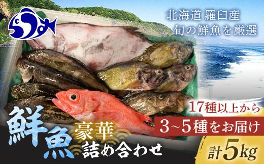 知床羅臼産 鮮魚詰め合わせB　約5kg 魚 さかな 旬の魚 鮮魚 羅臼町 北海道 生産者 支援 応援