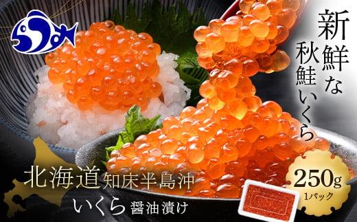 いくら醤油漬け 250g イクラ 魚卵 いくら丼 海鮮丼 ご飯のお供 羅臼町 北海道 生産者 支援 応援