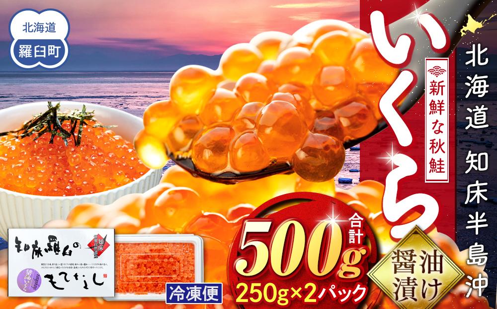 いくら醤油漬け 500g（250g×2パック） イクラ 魚卵 いくら丼 海鮮丼 ご飯のお供 羅臼町 北海道 生産者 支援 応援