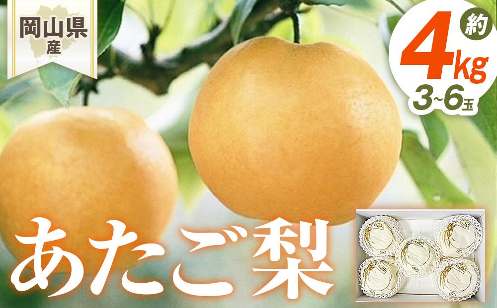 梨 2026年 岡山県産 あたご梨 3-6玉 (約4kg） 化粧箱入り
