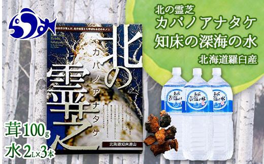 知床深海の水と北の霊芝カバノアナタケ茶セット  海洋深層水 北海道 知床 羅臼 らうす 世界自然遺産 天然 ミネラル マグネシウム 国産 常備水 備蓄 硬水 清涼飲料水 幻 きのこ キノコ お茶 生産者 支援 応