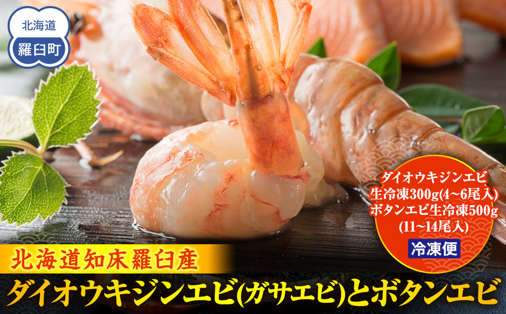 ダイオウキジンエビ(ガサエビ)とボタンエビのセット  えび エビ 海老 食べ比べ 魚介 魚介類 北海道 羅臼町 海産物 冷凍 刺身 フライ 生産者 支援 応援