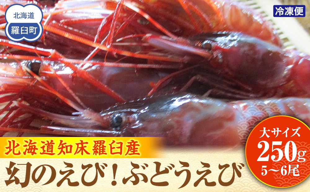 幻のぶどうえび（大・250g /4～6尾）エビ 海老 ブドウエビ 羅臼町 北海道 魚介類 魚介 海産物 冷凍 生産者 支援 応援