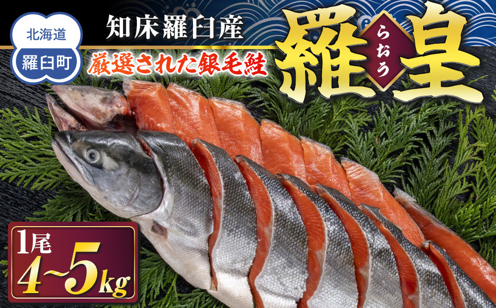 知床羅臼産&nbsp;鮭&nbsp;羅皇（らおう）4～5kg&nbsp;生産者&nbsp;支援&nbsp;応援