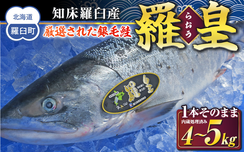 知床羅臼産&nbsp;鮭&nbsp;羅皇（らおう）&nbsp;1本そのまま　カットなし（内臓処理済）&nbsp;4～5kg&nbsp;生産者&nbsp;支援&nbsp;応援