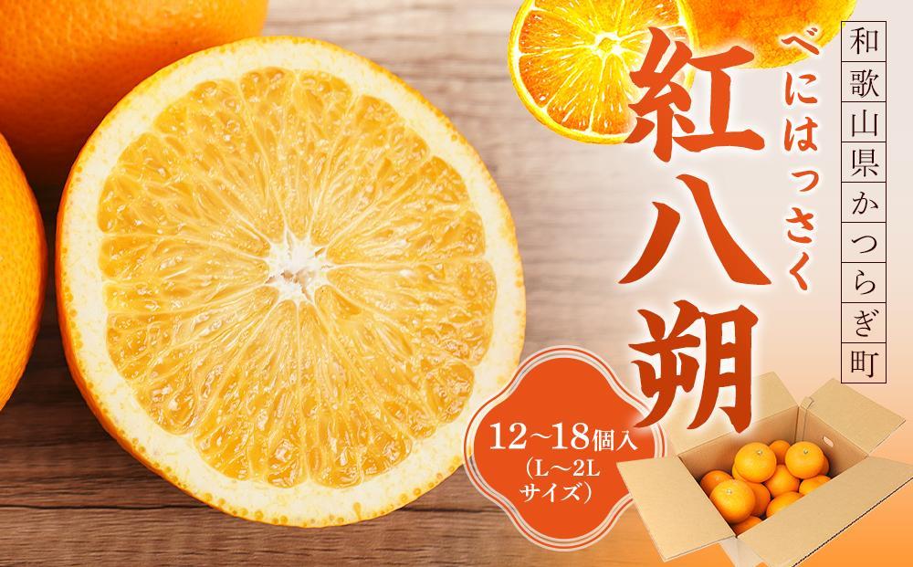 先行予約！希少な紅はっさく 12～18個入り（L～2Lサイズ）【2025年1月初旬頃から発送】【KG9】