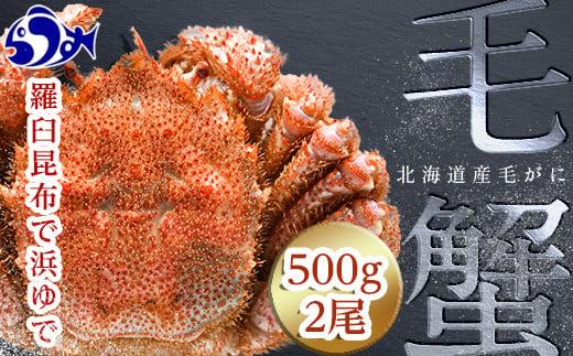 北海道 知床 羅臼産毛がに 500g×2尾 毛ガニ 海産物 魚介類 魚介 毛蟹 ケガニ 毛かに 毛カニ 蟹 カニ 海産物 魚介 海鮮丼 手巻き 寿司 正月 新鮮 海鮮 豪華 生産者 支援 応援