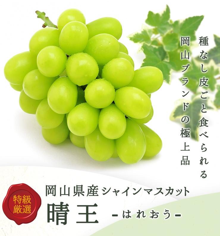 岡山県産　シャインマスカット『晴王』1房(800g以上) 化粧箱入り