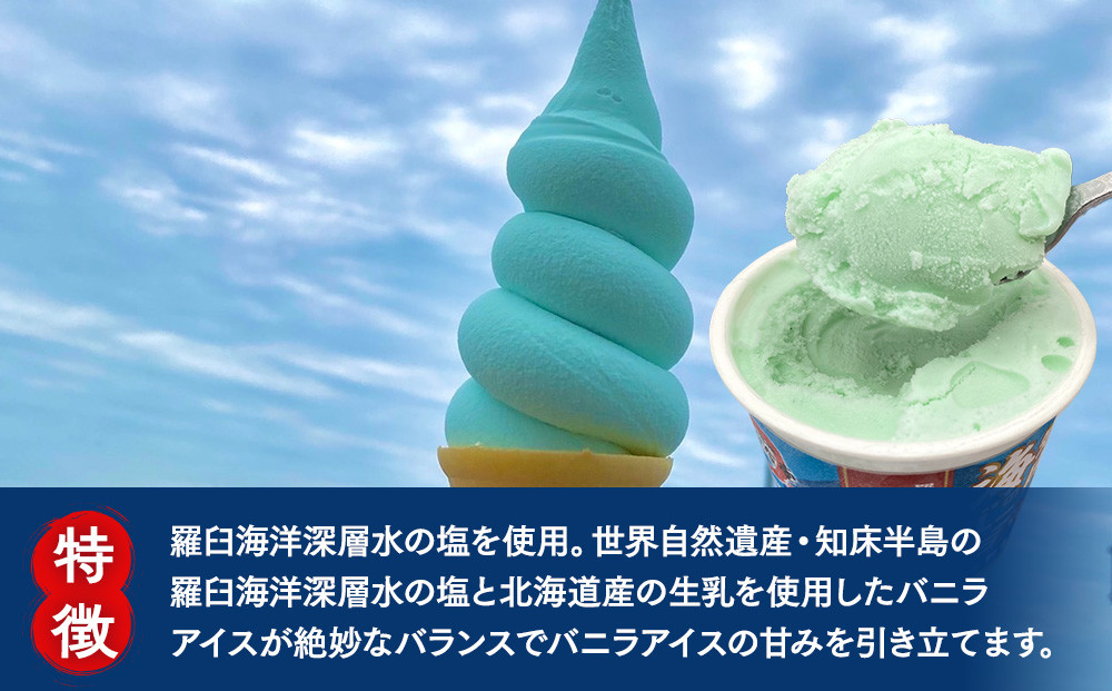 羅臼海洋深層水使用！ 海のバニラアイス・羅臼昆布バニラアイス 12個