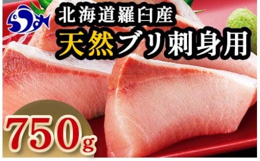 1月下旬発送 天然ぶり刺身 750g（250g ×3パック）北海道 知床羅臼産  魚 海産物 魚介 魚介類 ブリ 鰤 刺身 ご飯のお供 冷凍 生産者 支援 応援