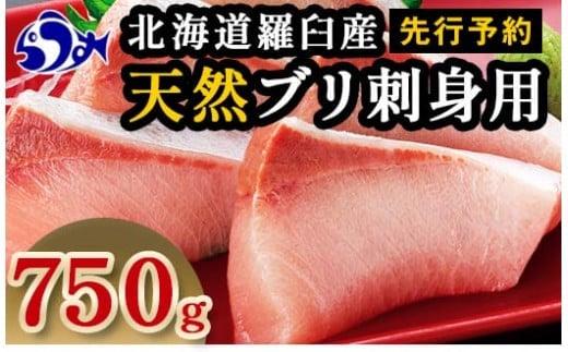 【2024年11月発送】北海道 知床羅臼産 天然ぶり刺身 750g（250g ×3パック） 魚 海産物 魚介 魚介類 ブリ 鰤 刺身 ご飯のお供 冷凍 生産者 支援 応援