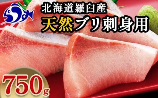 【2024年12月発送】北海道 知床羅臼産 天然ぶり刺身 750g（250g ×3パック） 魚 海産物 魚介 魚介類 ブリ 鰤 刺身 ご飯のお供 冷凍 生産者 支援 応援